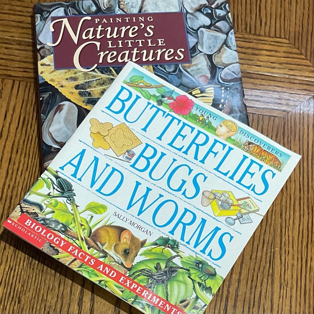 Painting Nature’s Little Creatures & Butterflies, Bugs & Worms BOOKS set